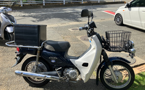 HONDA C110 SUPER CUB PRO JA10