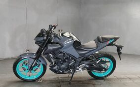 YAMAHA MT-25 RG109