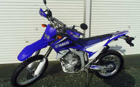 YAMAHA WR250R 2007 DG15J