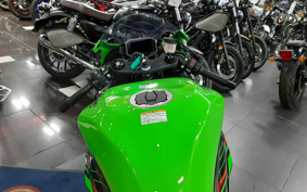 KAWASAKI NINJA ZX-6R KRT ED 2024 ZX636J