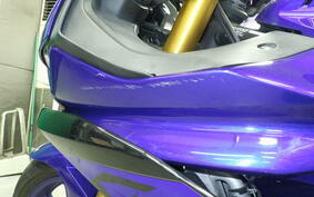 YAMAHA YZF-R25 RG43J