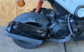 HONDA NAVI110 JF65
