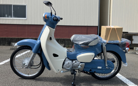 HONDA  SUPER CUB 50 FINAL ED AA09