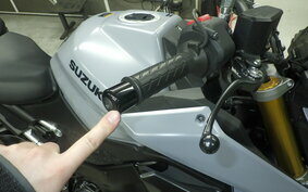 SUZUKI GSX-S1000 Gen.2 2021 EK1AA