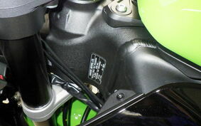 KAWASAKI NINJA ZX-6R A 2022 ZX636G