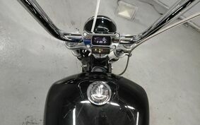 HARLEY FXST1750 2020 BVJ