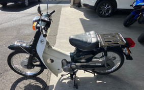 HONDA SUPER CUB50 C50