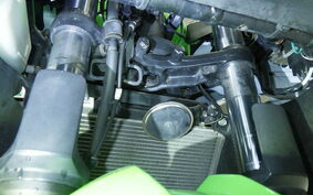 KAWASAKI NINJA 250 ABS EX250L