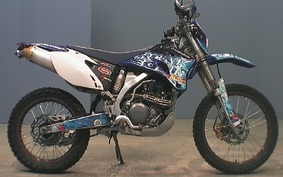OTHER WR250F-E CG26