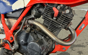 HONDA TLR200 MD09