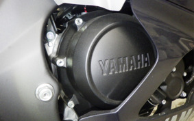 YAMAHA YZF-R15 RG86J