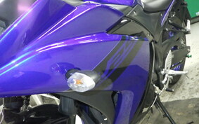 YAMAHA YZF-R25 RG43J