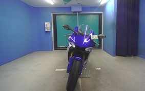 YAMAHA YZF-R1 2006 RN39