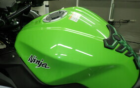 KAWASAKI NINJA 250 EX250L