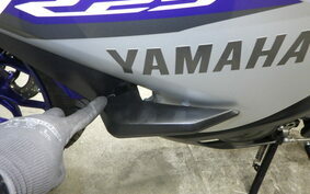 YAMAHA YZF-R25 A RG10J