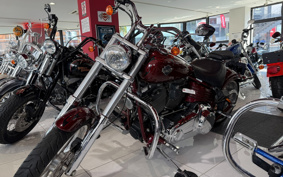 HARLEY  HARLEY FXCWC 2009 JK5