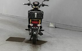 HONDA CROSS CUB 110 JA10