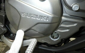 SUZUKI DL650 ( V-Strom 650 ) XTA 2020 C733A