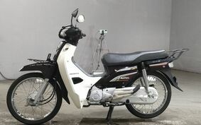 HONDA DREAM 110 JA27