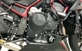 KAWASAKI Z1000 2022 ZRT00K