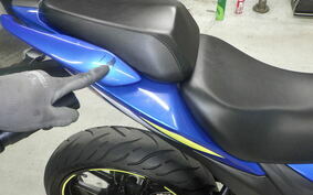 SUZUKI GIXXER 250