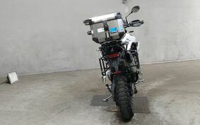 TRIUMPH TIGER 900 RALLY PRO 2020 RE67D8