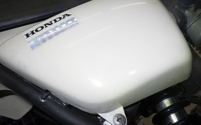 HONDA APE 50 AC16