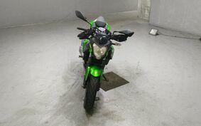 KAWASAKI Z250 SL BR250E