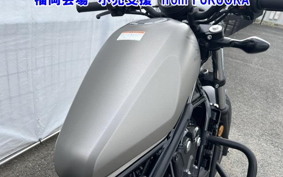 OTHER  REBEL 500