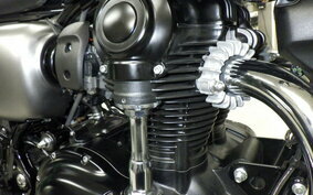 KAWASAKI W800 STREET 2021 EJ800B