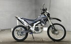 YAMAHA WR250R DG15J