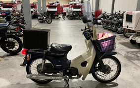 HONDA C50 SUPER CUB Custom AA01