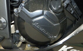 KAWASAKI NINJA 250 ABS EX250L