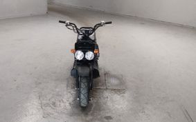 HONDA ZUMAR AF58