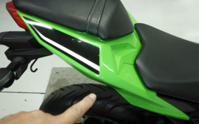 KAWASAKI NINJA 250 EX250L