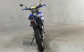 YAMAHA WR250R DG15J