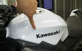 KAWASAKI Z250 ER250C