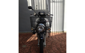 HONDA C50 SUPER CUB Pro AA04