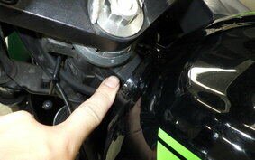 KAWASAKI NINJA 250 ABS EX250L