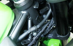 KAWASAKI ZX-4RR 2023 ZX400P