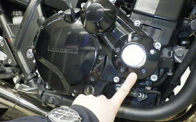 KAWASAKI ZRX1200 D 2010 ZRT20D