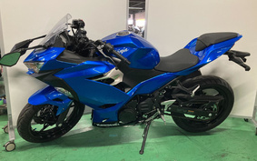 KAWASAKI NINJA 250 EX250P