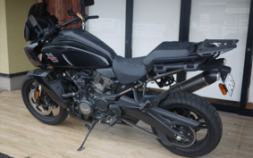 HARLEY  HARLEY  PAN  AMERICA 1250 2021 ZDS