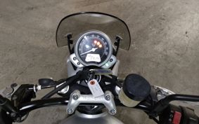 TRIUMPH  TRIUMPH  STREET  TWIN  DAD74G