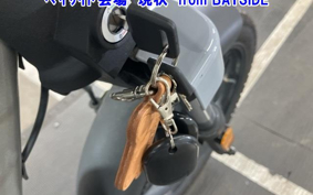 OTHER MINI BIKE