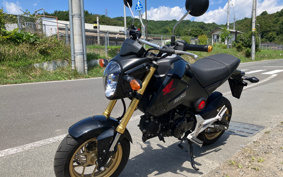 HONDA GROM JC61