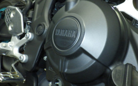 YAMAHA MT-25 A RG74J