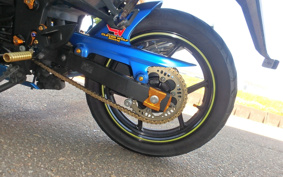 KAWASAKI NINJA 250R EX250K