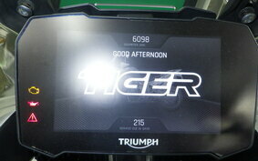 TRIUMPH TIGER 900 RALLY PRO 2021 RE67D8