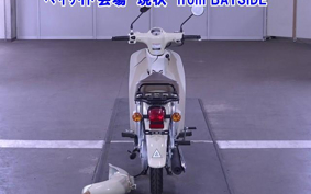 OTHER C110-4